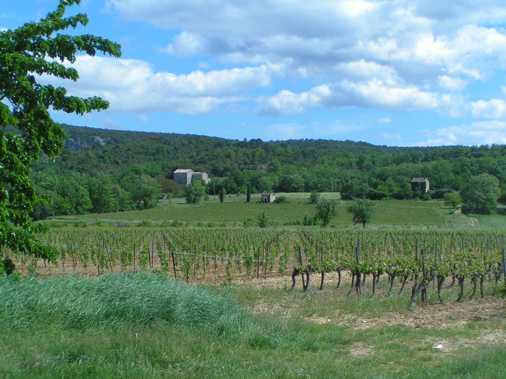 Апартаменты Aux Couleurs D'Ardeche Валлон-Пон-д'Арк Экстерьер фото